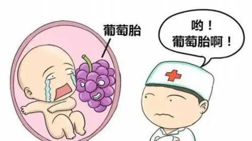 杭州代怀网包成功,2023
杭州第三代试管婴儿多少钱？