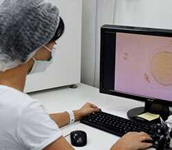 杭州公立代生机构,做试管一般放几个胚胎-杭州试