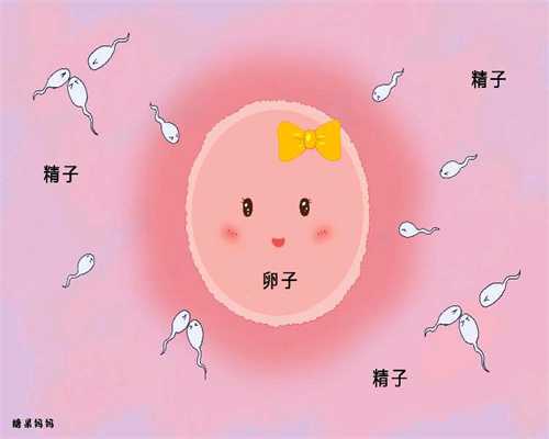 北京爱加国际助孕平台_女人代孕的14个信号：女