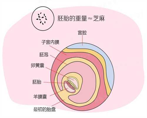 华博助孕基金_日本好用的代孕专用护肤品品牌十