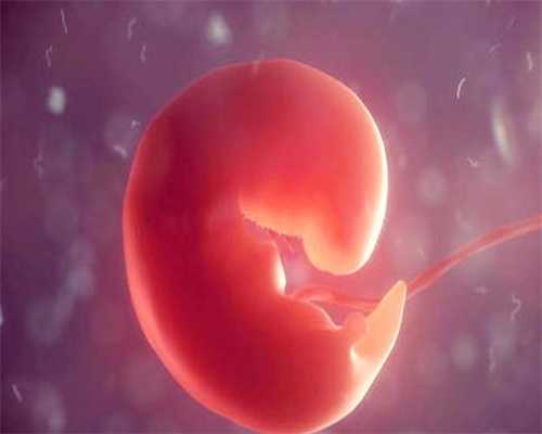 上海添禧助孕公司_找女生代生孩子的_胚胎发育规