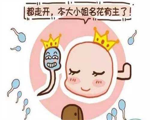 杭州代孕价格_怀孕四个月打胎危险吗