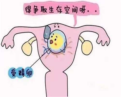 杭州正规代孕医院哪家靠谱_怀孕胎停了有什么症状