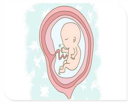 杭州助孕中心排名_杭州代孕哪里最靠谱_恶心尿频是怀孕了吗