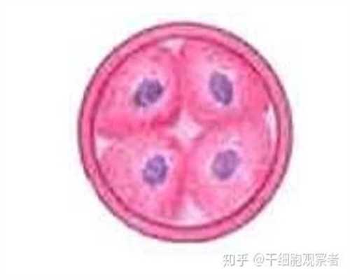 杭州试管婴儿代孕是怎么回事_杭州哪一家做代孕好_宫外怀孕多久能测出来