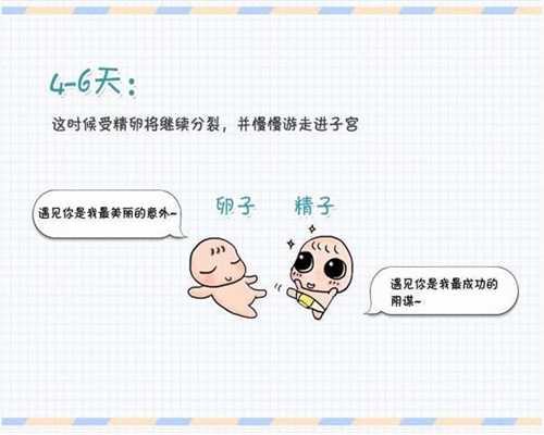杭州代孕产子需要多少钱_杭州中国最著名代孕公司_孕妇25周吃什么好
