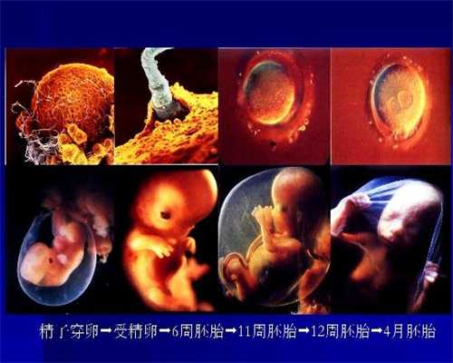 杭州代孕生小孩包成功多少钱_杭州坤和助孕中心_怀孕了宫腔积血怎么办