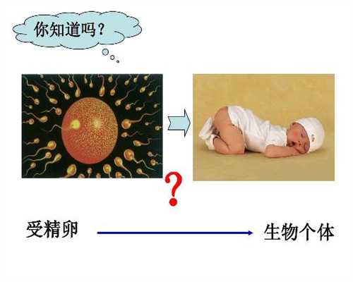 杭州哪里有代孕的女孩_杭州试管代孕的成功率_喝水多导致羊水过多吗