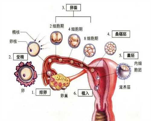 杭州2021最新代孕价格_杭州代孕生子哪里有_对女性健康有害的四种生育状况