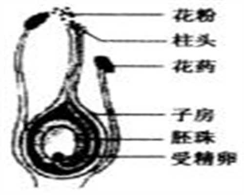 杭州专业的代孕包成功套餐_怀孕手机关机有辐射吗