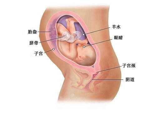 杭州哪里有借腹生子助孕_杭州试管婴儿排行