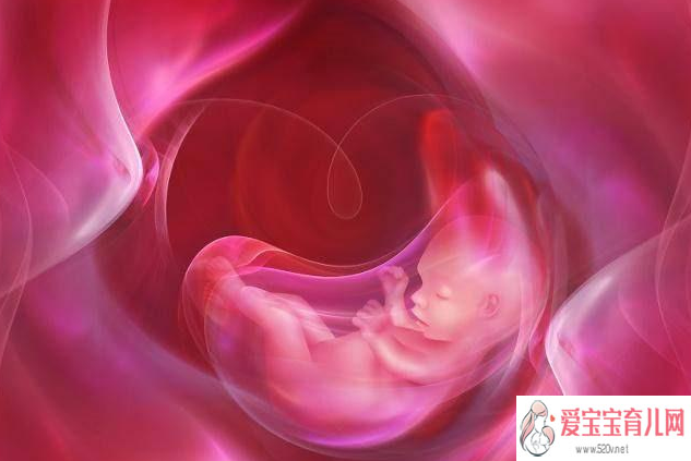 输卵管粘连做试管_切除子宫生孩子_解答：做试管婴儿移植后几天可以着床呢？