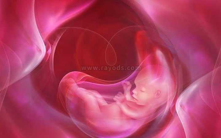 输卵管粘连做试管_切除子宫生孩子_解答：做试管婴儿移植后几天可以着床呢？