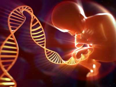 染色体异常流产率_子宫切除后再怀孕_武汉助孕试管婴儿胚胎移植后大约几天可