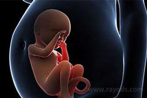 切除子宫孩子脑瘫_宫颈息肉_试管婴儿容易早产吗？试管婴儿早产的3个原因