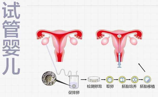 染色体异常无胎停_切除子宫卵巢试管_试管打降调针后又来月经了，正常吗？
