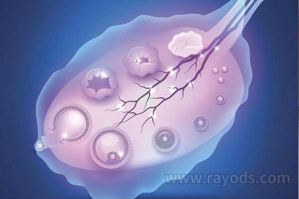 试管和染色体异常_输卵管管腔闭塞_试管婴儿的胚胎移植时间是由什么因素来决