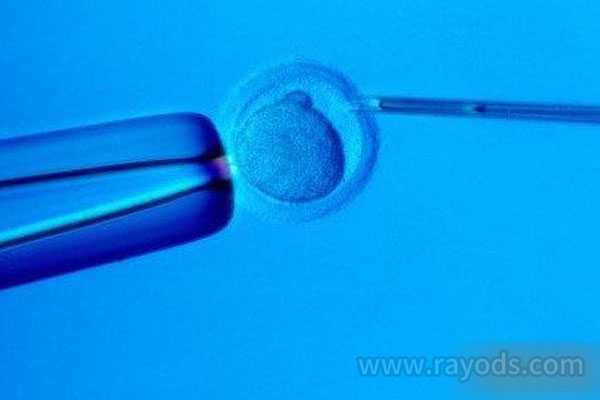 无排卵可以怀孕吗_二代染色体异常_第四代试管婴儿技术怎么样？