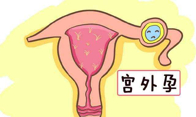 杭州成功包男孩代怀 杭州供卵试管流程 ‘怀女孩初期和中期症状’